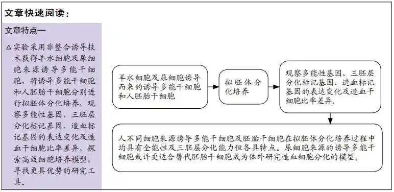 比较人不同细胞来源诱导多能干细胞与胚胎干细胞拟胚体的分化培养过程